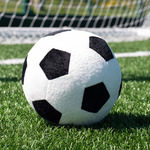 Mumbles Zippie Football