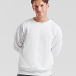Classic 80/20 raglan sweatshirt