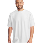 Mantis Unisex Oversized Heavy T-Shirt