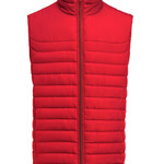 Arches Vest