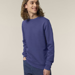 Roller unisex crew neck sweatshirt (STSU868)