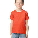 Softstyle Midweight Youth T-Shirt
