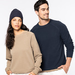 Native Spirit Unisex Raglan Sleeve Sweatshirt