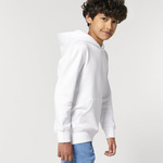 Kids Mini Cruiser 2.0 iconic hoodie sweatshirt (STSK180)
